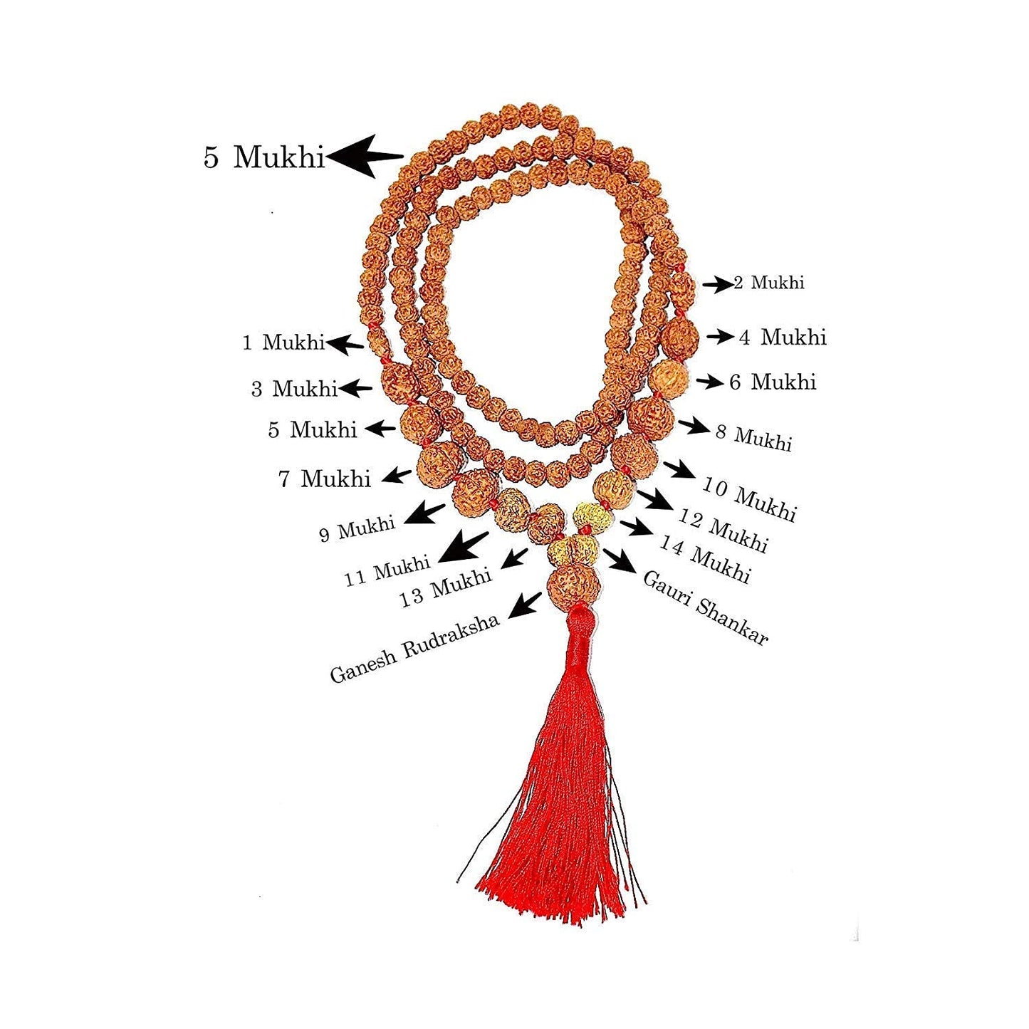 1 - 14 Mukhi Rudraksha Mala Indonesian