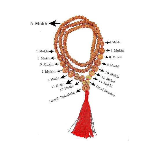 1 - 14 Mukhi Rudraksha Mala Indonesian