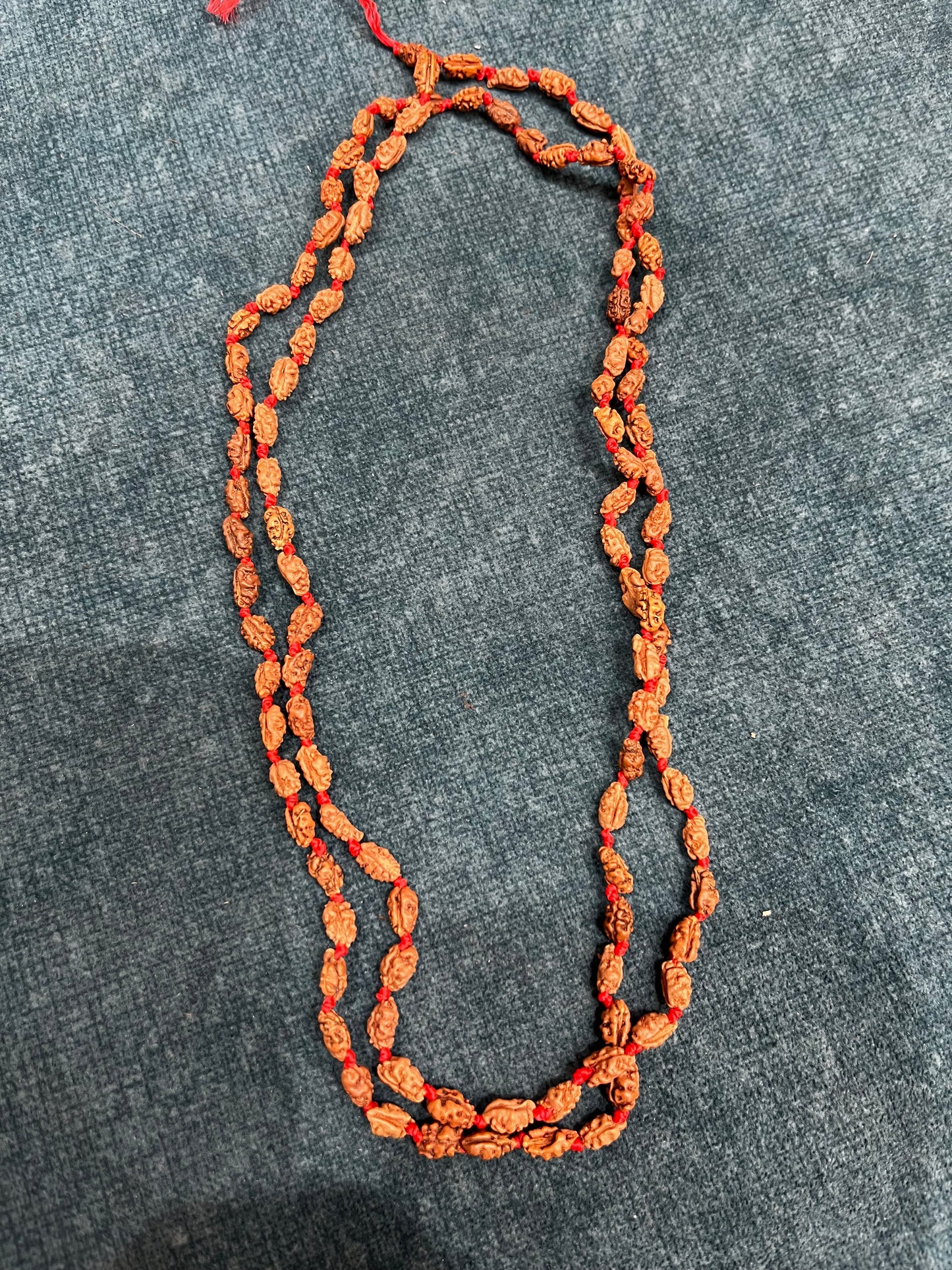 1 Mukhi Rudraksha Mala Java