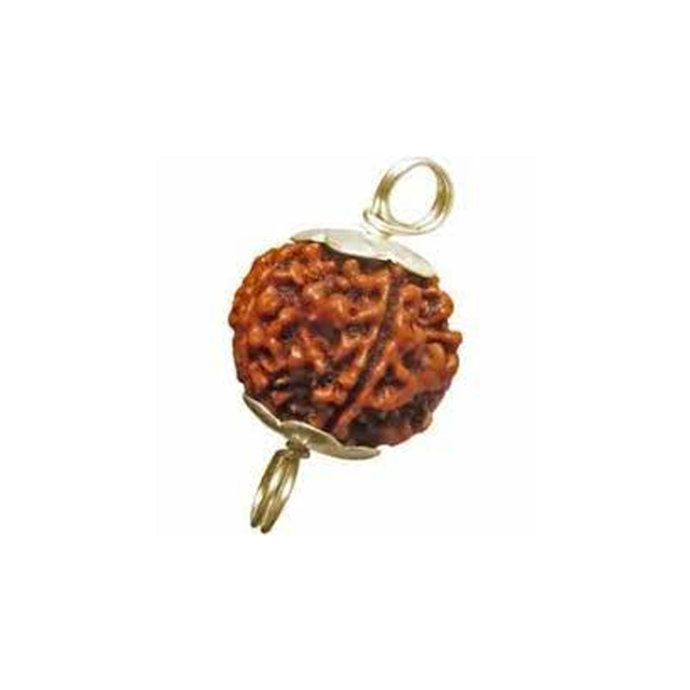 4 Mukhi Nepali Rudraksha