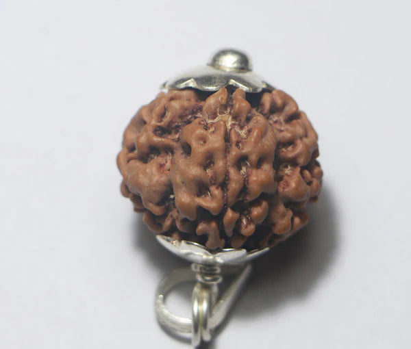 1 Mukhi Rudraksha-Nepal Origin