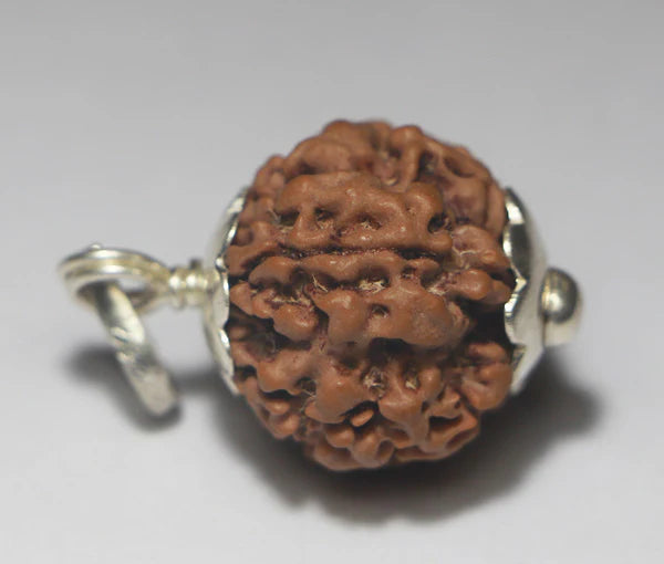 1 Mukhi Rudraksha-Nepal Origin