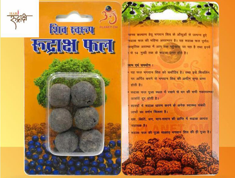 Rudraksha Fruit Packet