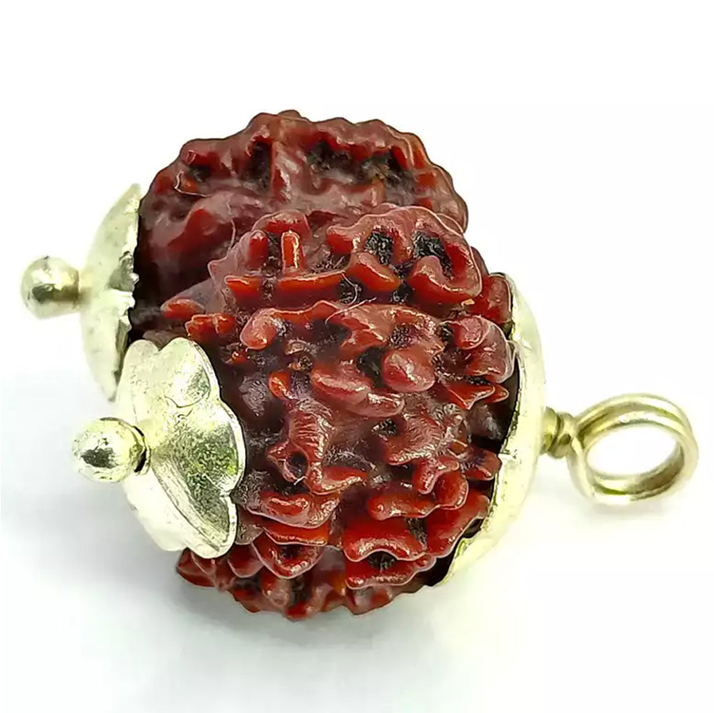 Gauri Shankar  Rudraksha Java