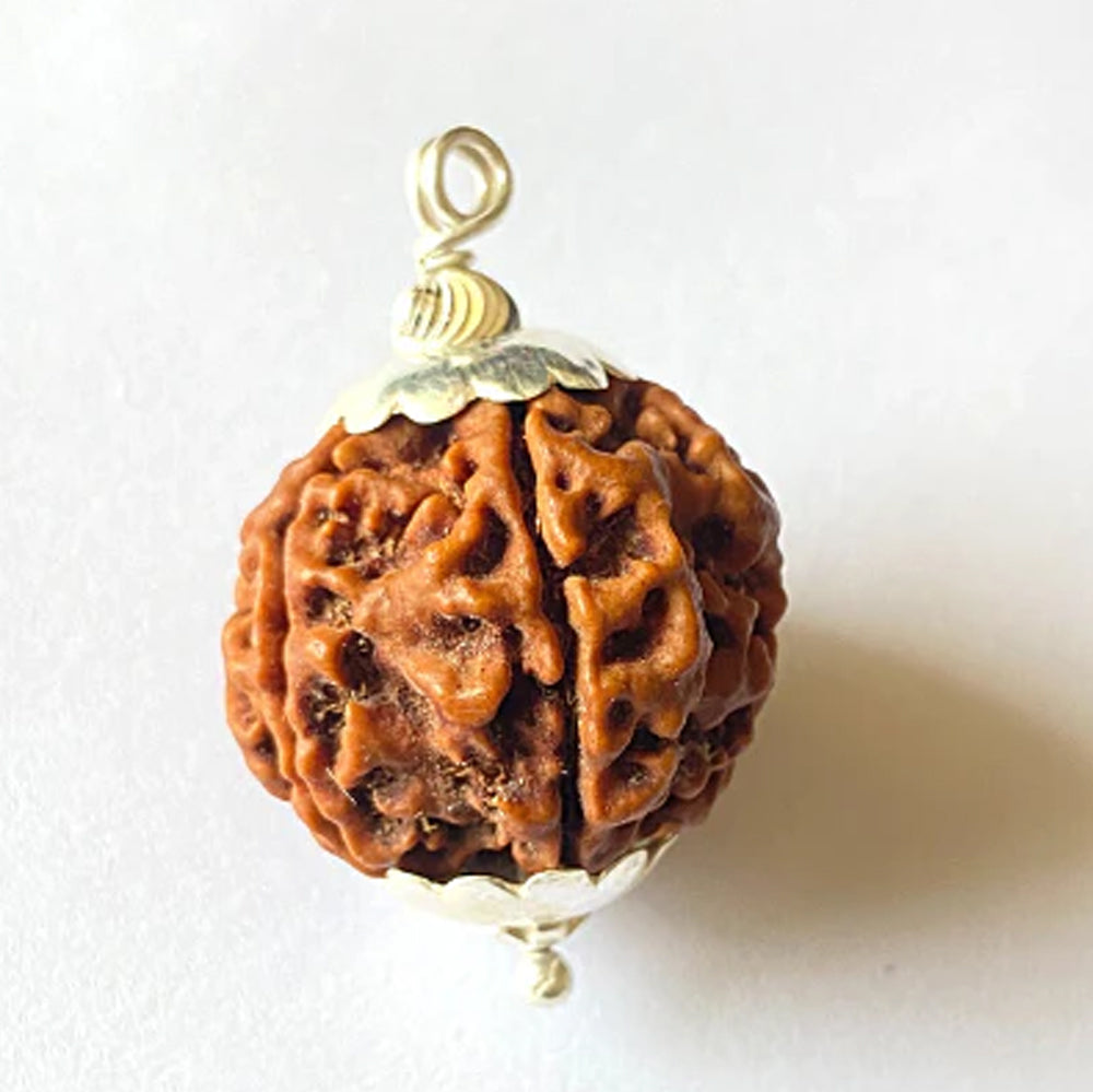 5 Mukhi Nepali Rudraksha