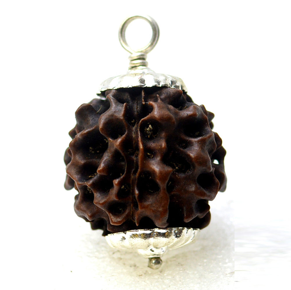 5 Mukhi Nepali Rudraksha