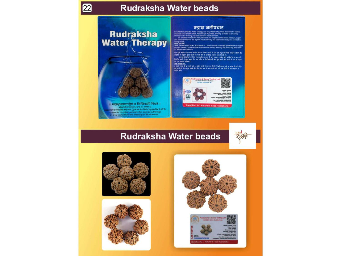 Rudraksha Water Bead