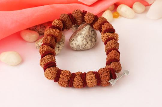 13 Mukhi  Bracelet Java (Kamdev)