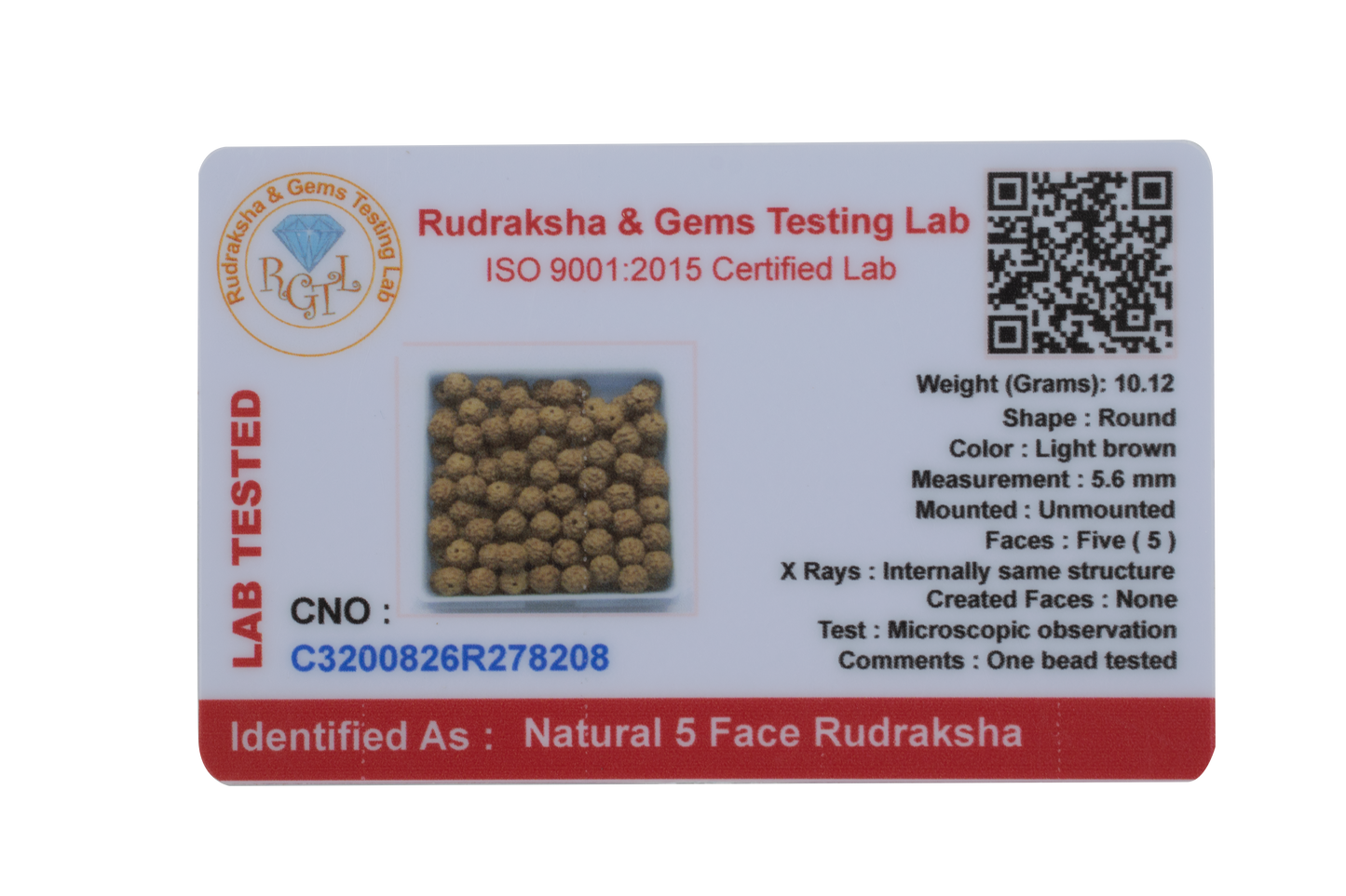 5 Mukhi Rudraksha Beads for Making Gold & Silver Chain