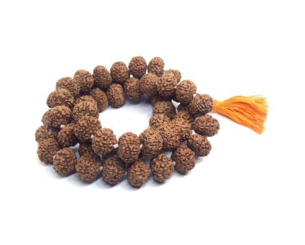 7 Mukhi Rudraksha Mala