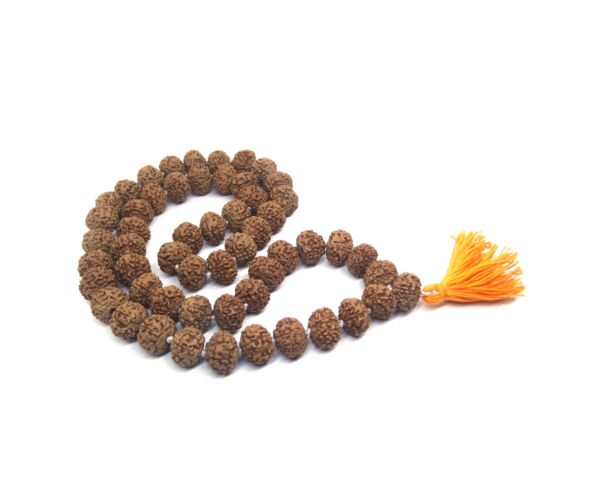 7 Mukhi Rudraksha Mala