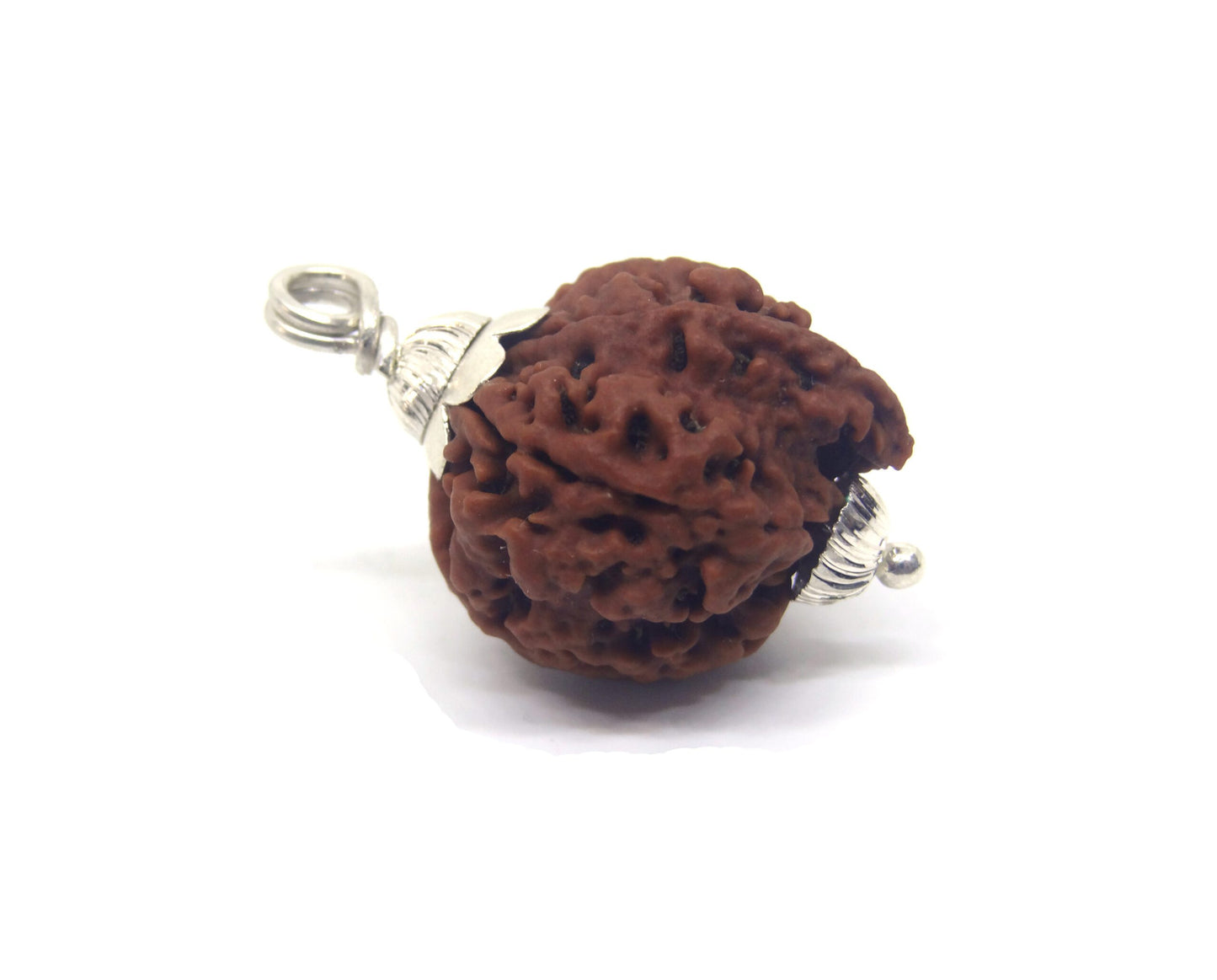 Ganesh Rudraksha Nepal