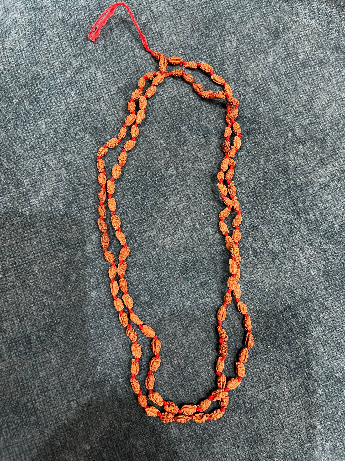 1 Mukhi Rudraksha Mala Java