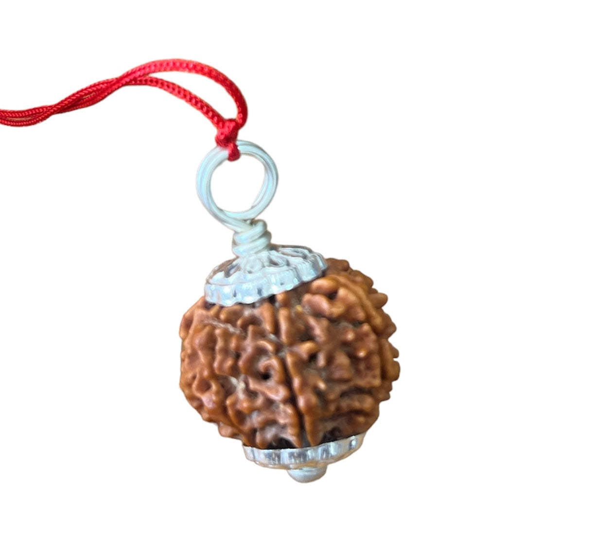 7 Mukhi Nepal Rudraksha Premium