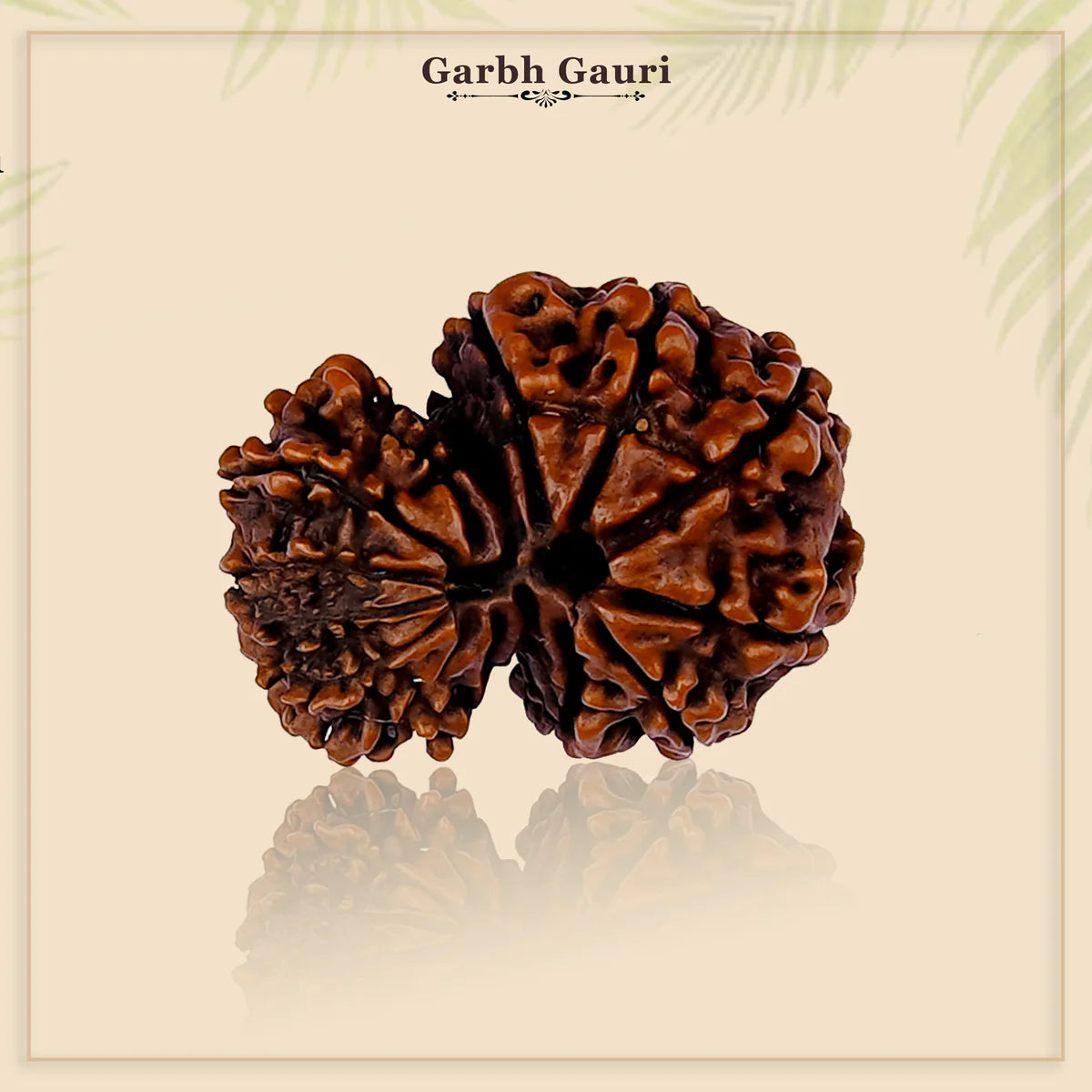 Garbh Gauri Rudraksha Nepal