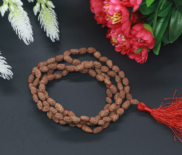 2 Mukhi Rudraksha Mala