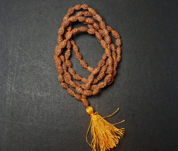 2 Mukhi Rudraksha Mala