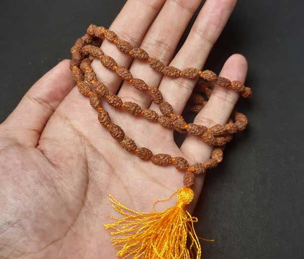 2 Mukhi Rudraksha Mala