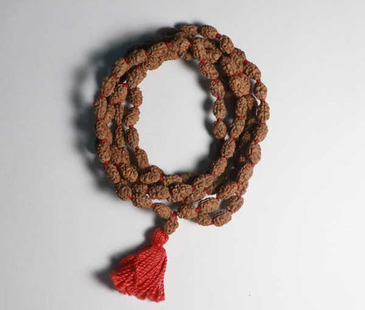 2 Mukhi Rudraksha Mala