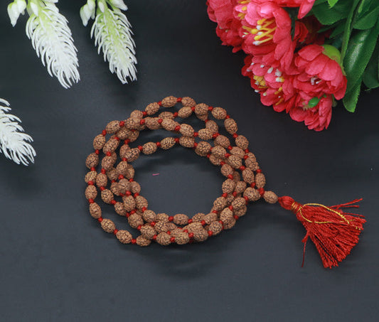 3 Mukhi  Rudraksha Mala