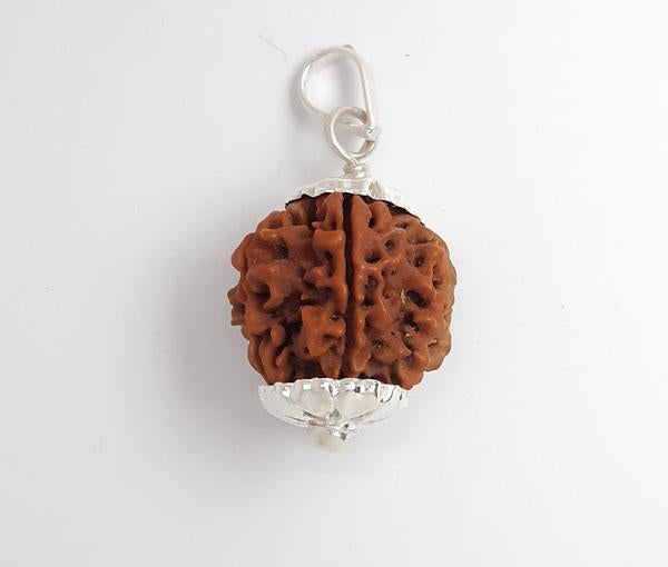 5 Mukhi Nepali Rudraksha