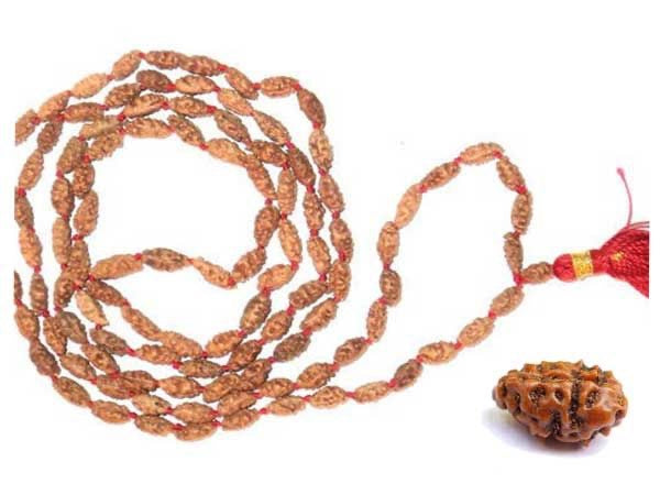 1 Mukhi Rudraksha Mala Java