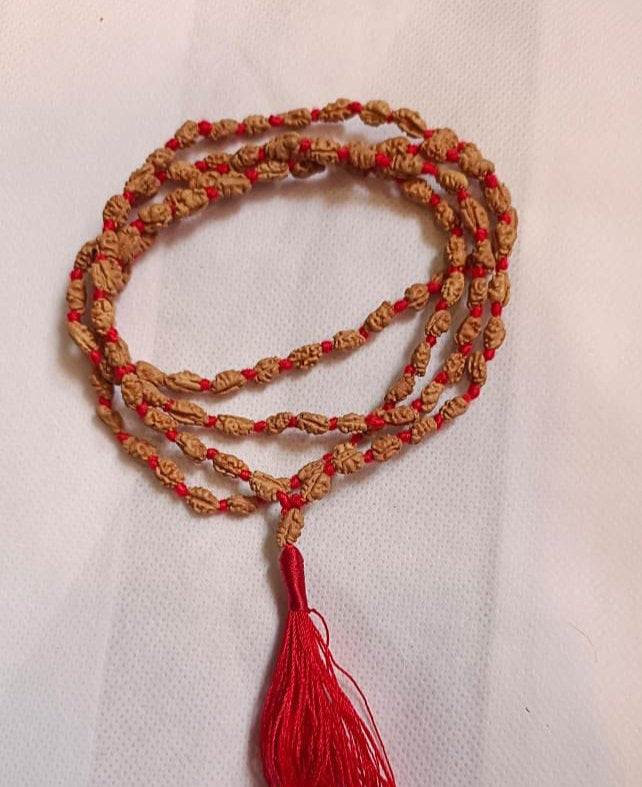 1 Mukhi Rudraksha Mala Java