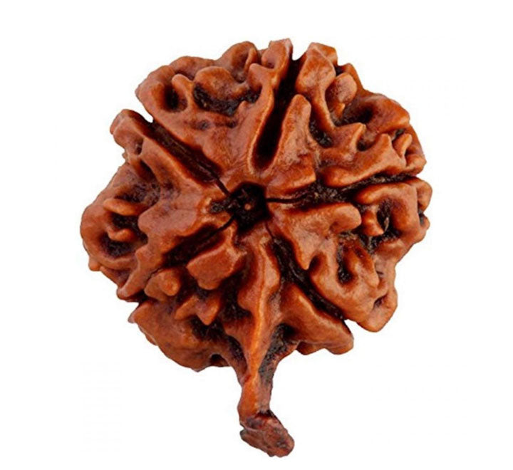 Ganesh Rudraksha Nepal