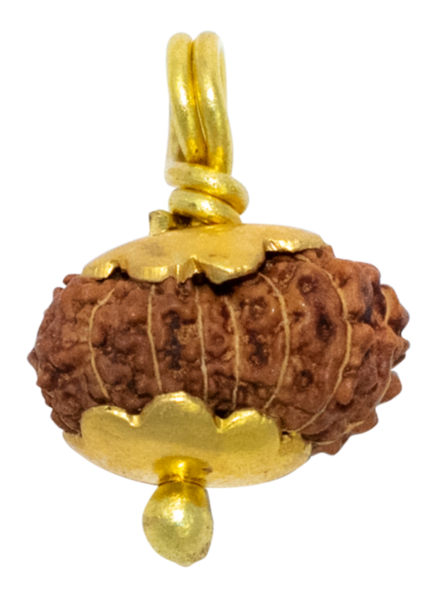 14 Mukhi Java Rudraksha