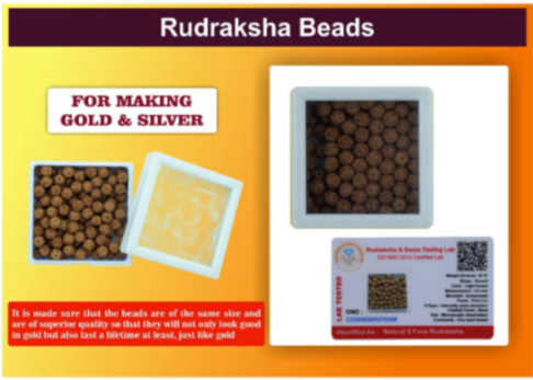 5 Mukhi Rudraksha Beads for Making Gold & Silver Chain