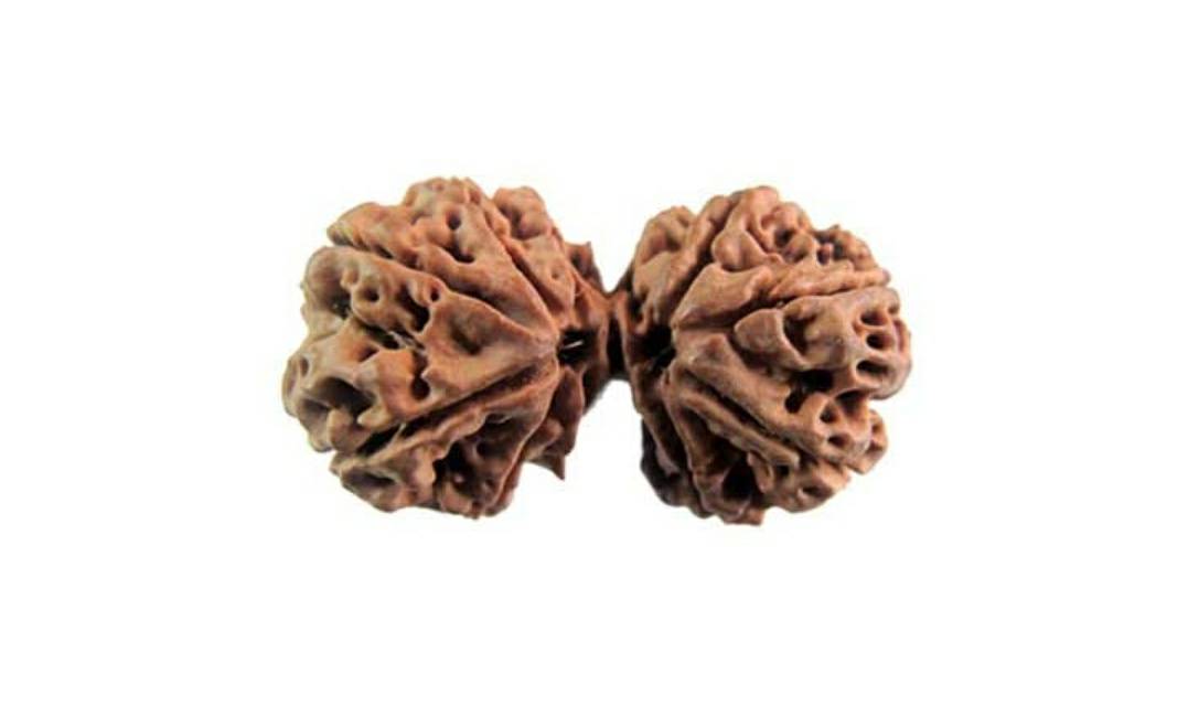 Gauri Shankar Rudraksha Nepali