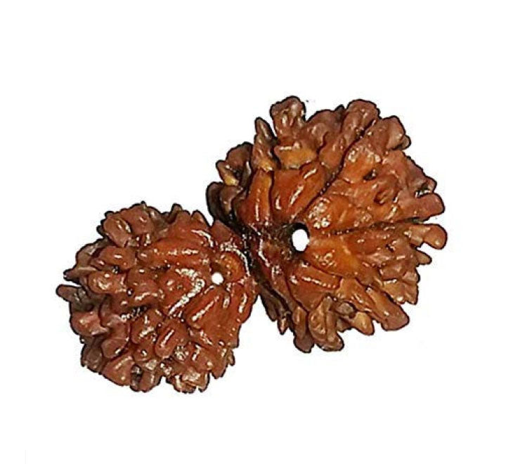 Gauri Shankar Rudraksha Nepali