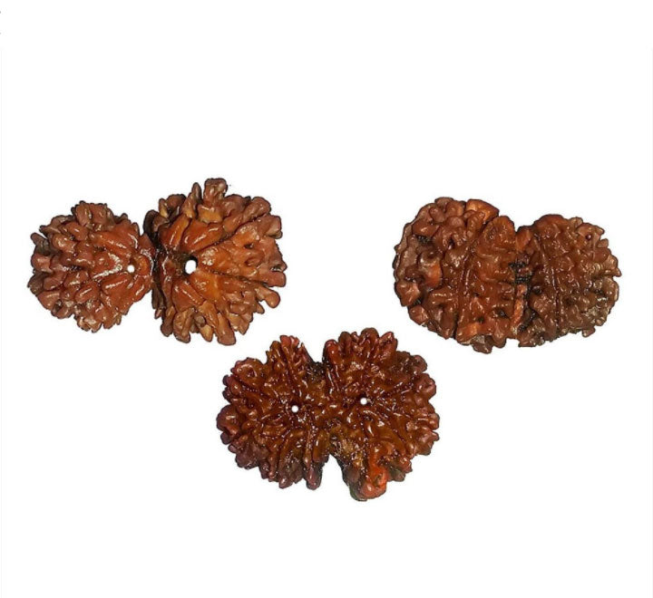 Gauri Shankar Rudraksha Nepali