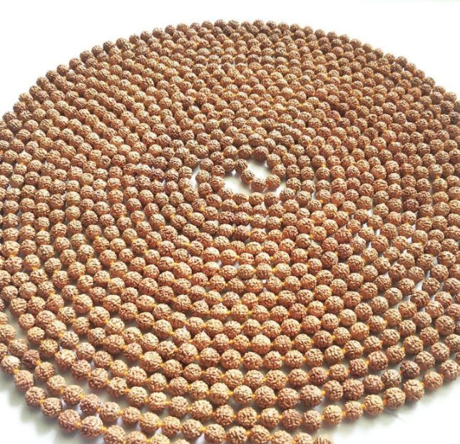 5 Mukhi Rudraksha 1008 Bead Mala