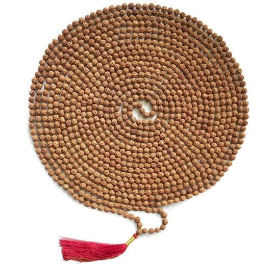 5 Mukhi Rudraksha 1008 Bead Mala