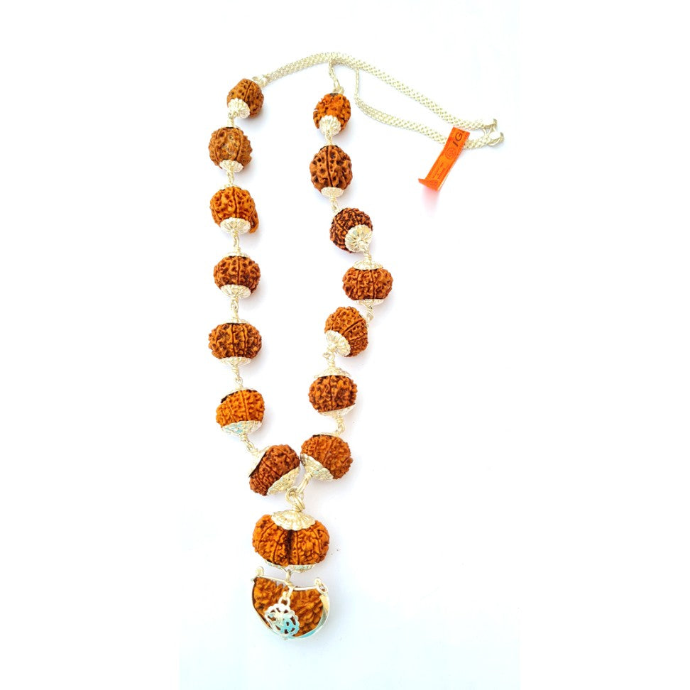 1 -14 Mukhi Nepali Rudraksha Sidha Mala Silver Capping