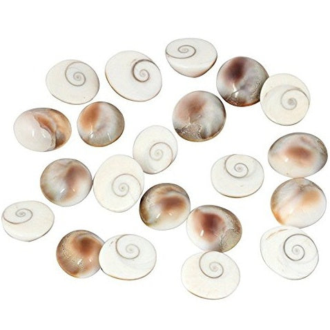 Gomti Chakra Original (12 Piece) 100% Natural & Real Gomti Chakra from Gomti River