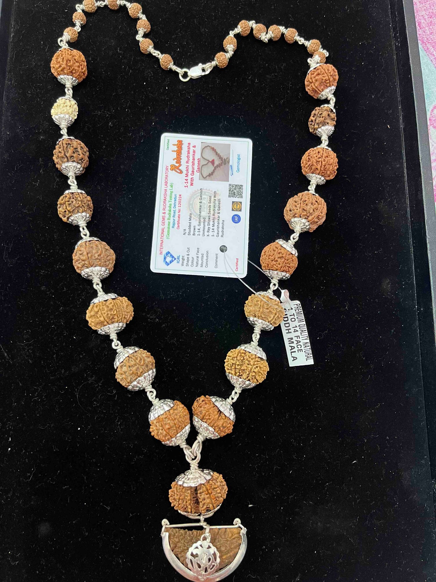 1 -14 Mukhi Nepali Rudraksha Sidha Mala Silver Capping