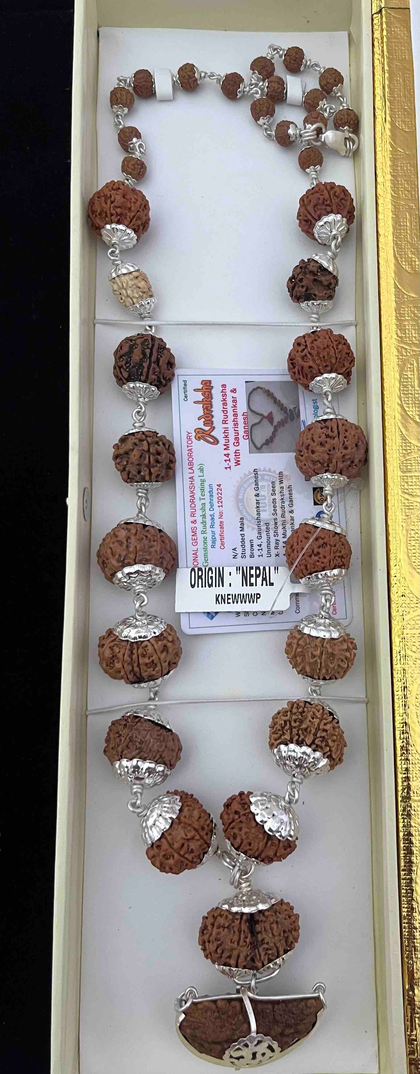 1 -14 Mukhi Nepali Rudraksha Sidha Mala Silver Capping