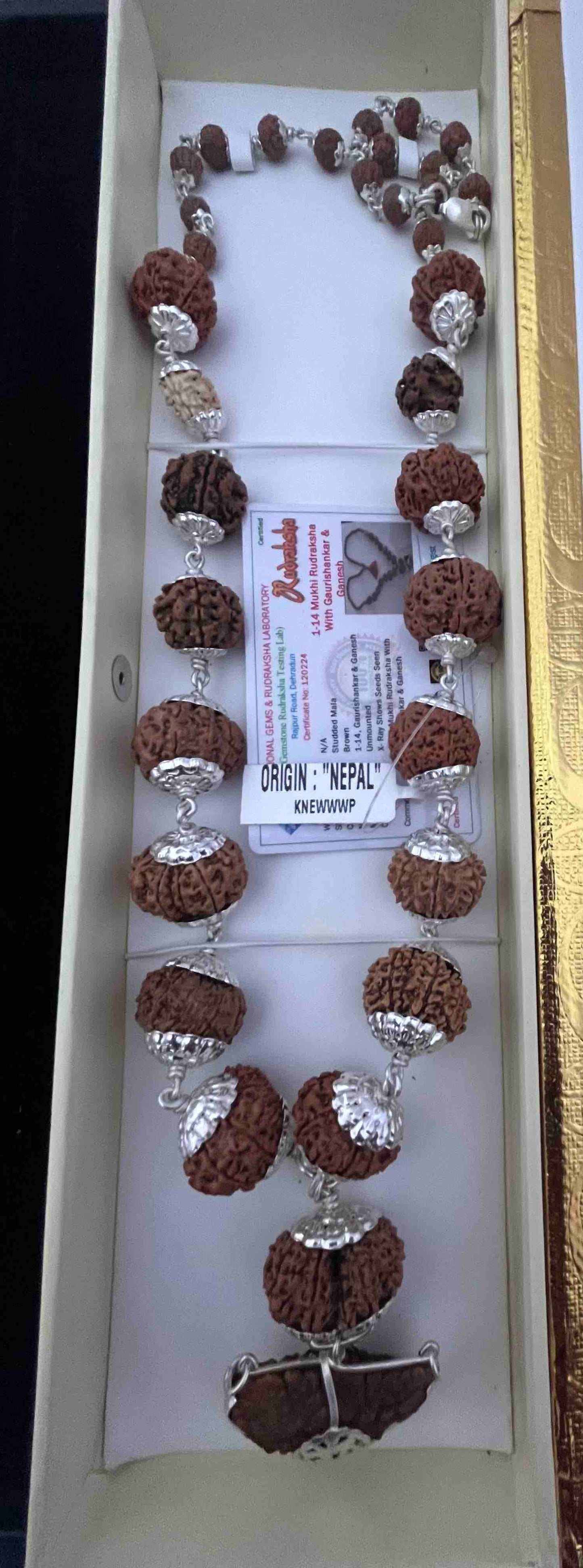 1 -14 Mukhi Nepali Rudraksha Sidha Mala Silver Capping