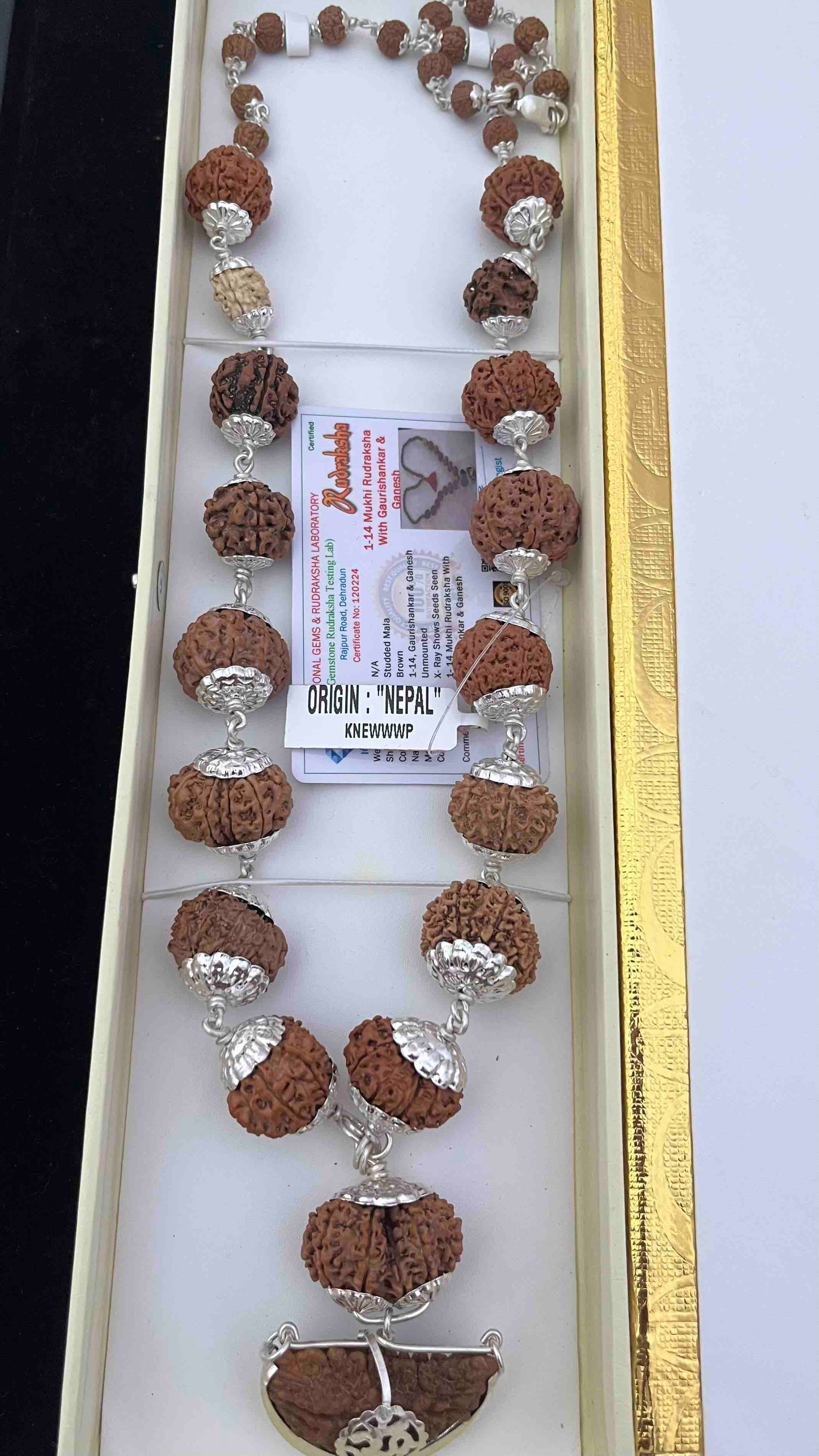 1 -14 Mukhi Nepali Rudraksha Sidha Mala Silver Capping