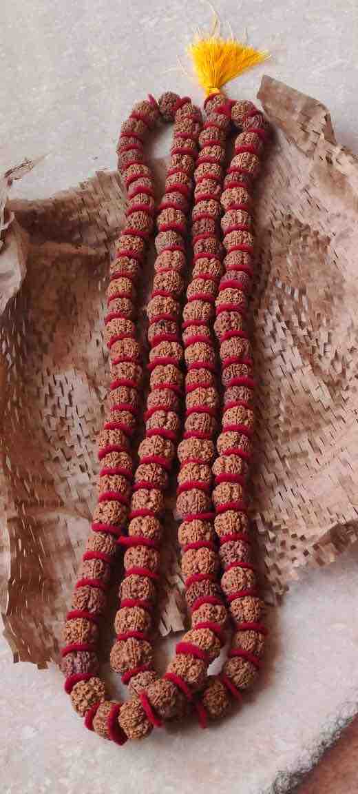 5 Mukhi Rudraksh Kantha Mala