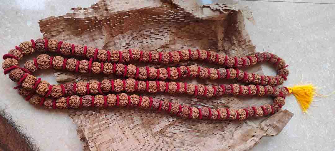 5 Mukhi Rudraksh Kantha Mala