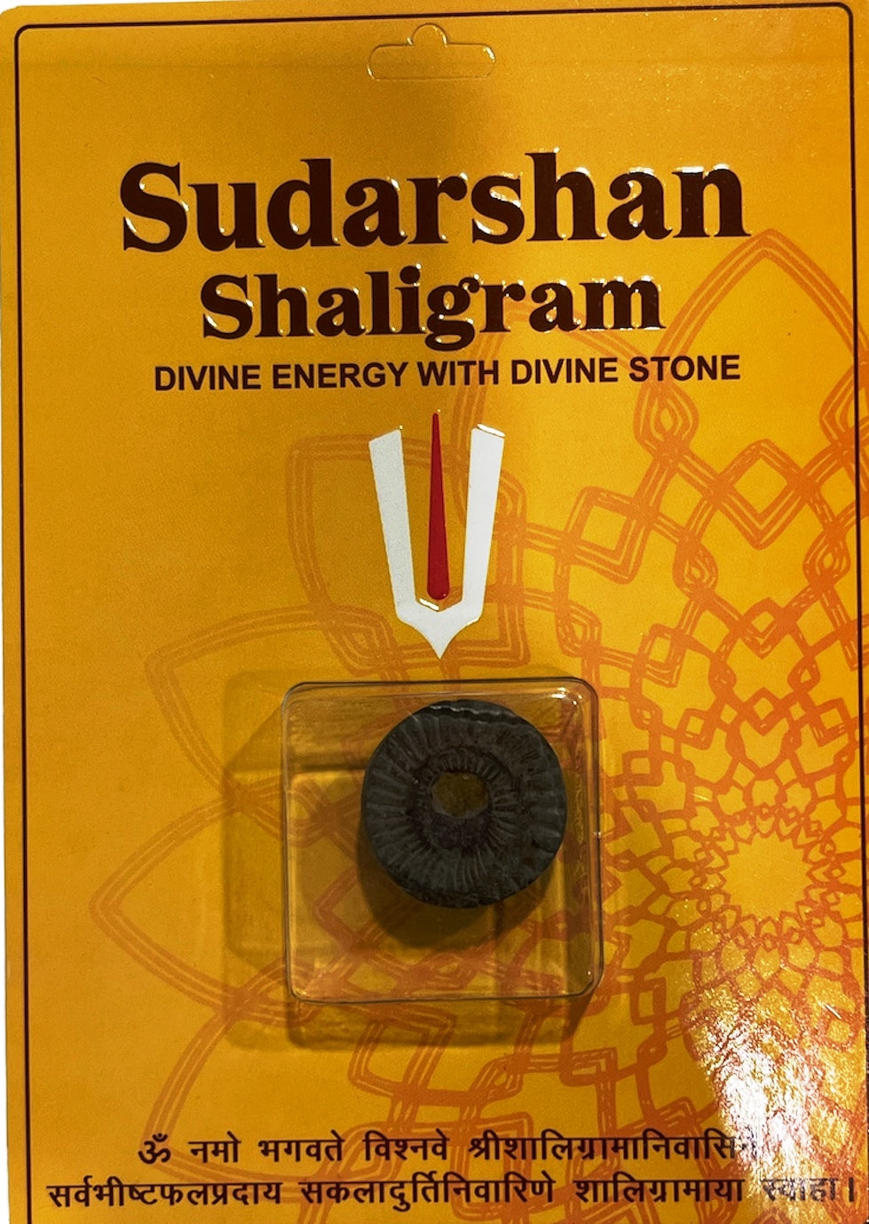 Sudarshan Shaligram Ji