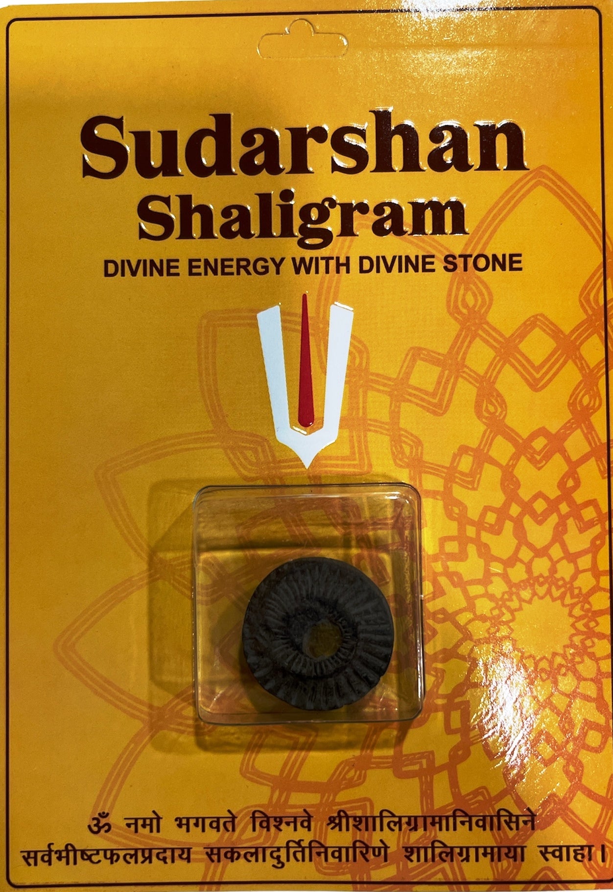 Sudarshan Shaligram Ji