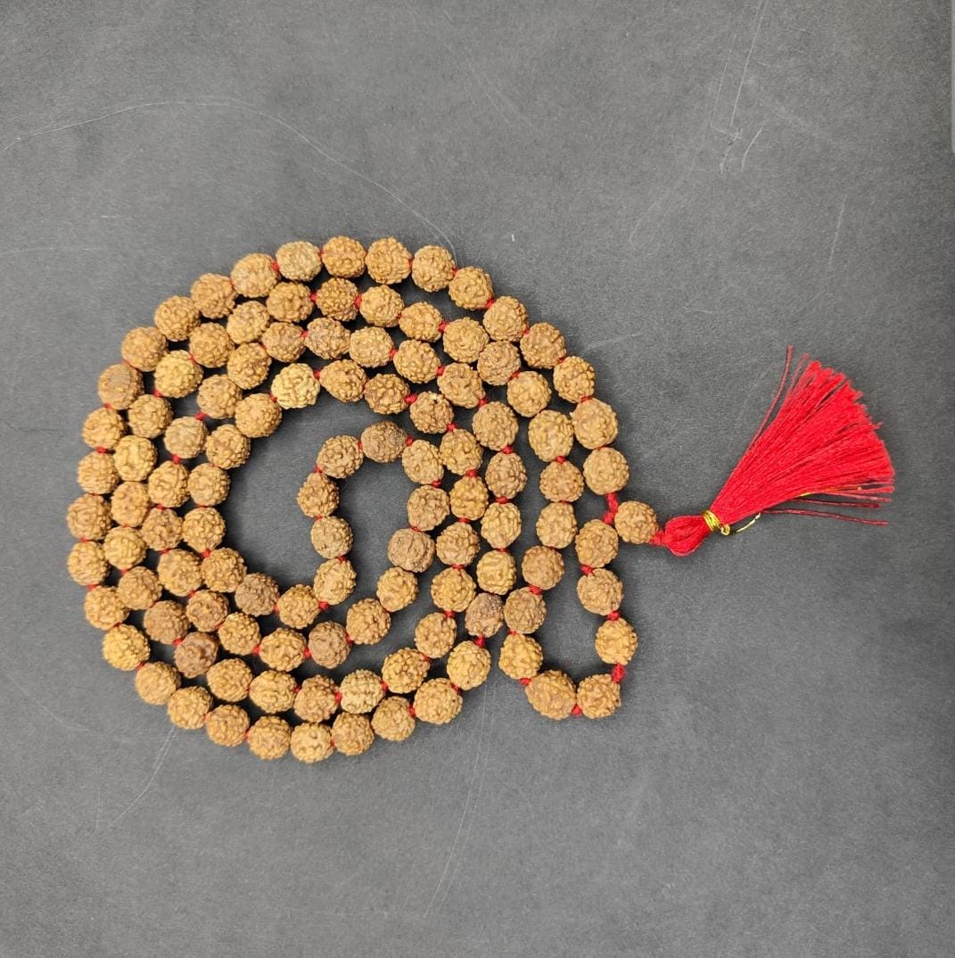 6 Mukhi Rudraksha Mala