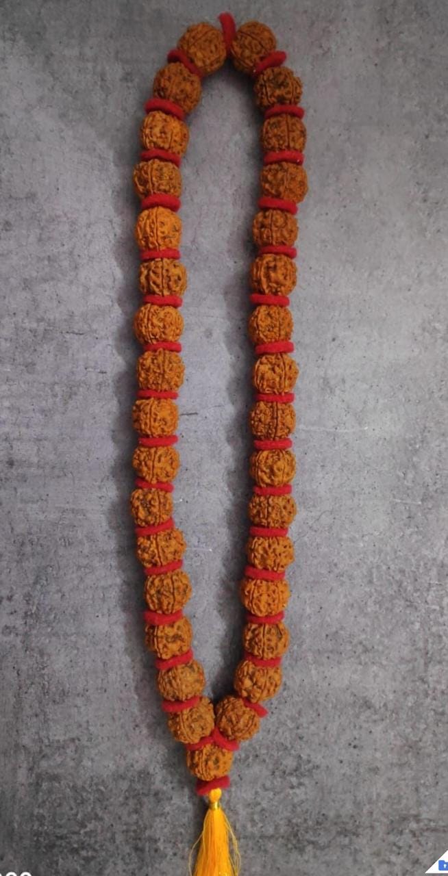 5 Mukhi Rudraksha Kantha Mala 54+1 Beads Pure