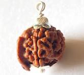 Ganesh Rudraksha Nepal