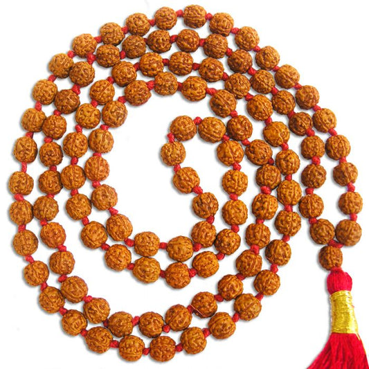 Rudraksha Chikna Pathri Mala